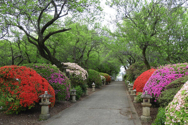 本堂側から門を方面をのぞむ